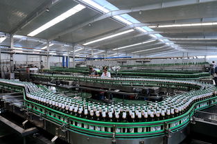 啤酒廠融資商業計劃書