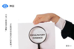 遂寧商務咨詢哪家靠譜